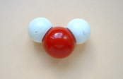 mole6.jpg