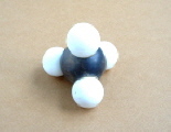 mole7.jpg